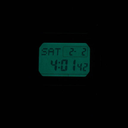 Casio G-Shock Alarm Chronograph DW-D5600P-7 Mens Watch