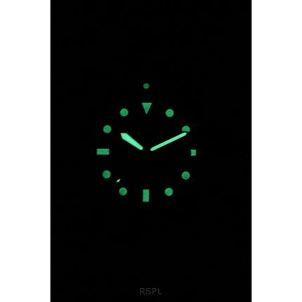 Fossil Blue Dive Stainless Steel Black Dial Quartz FS6032 100M Men's Watch