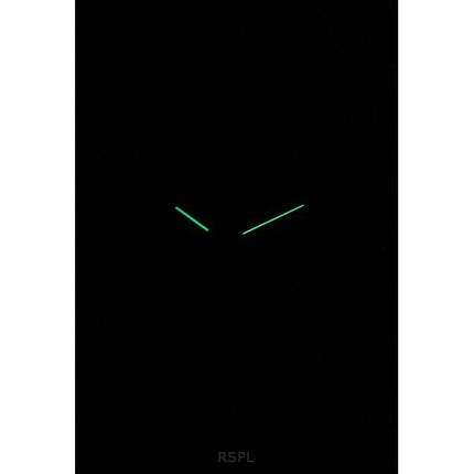 Skagen Signatur Leather Strap Black Dial Quartz SKW6902 Men's Watch