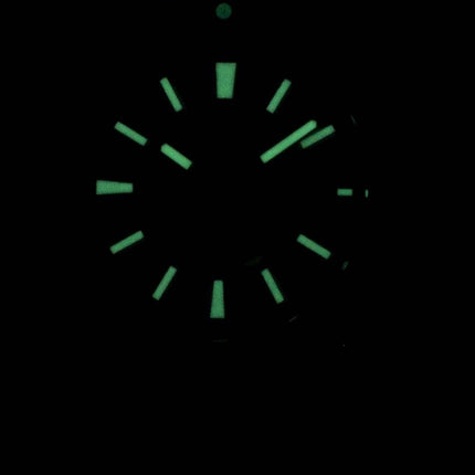 Orient Nami Mako Automatic 200M FAC09004D0 Men's Watch