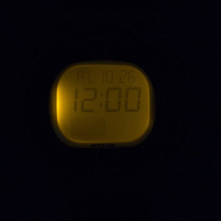 Casio Illuminator Dual Time Alarm Digital LW-203-1AV LW203-1AV Women's Watch
