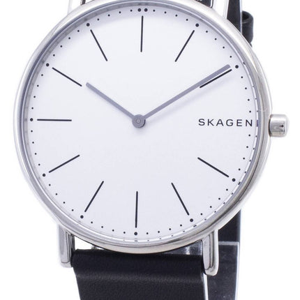 Skagen Signatur Slim Titanium Quartz SKW6419 Men's Watch
