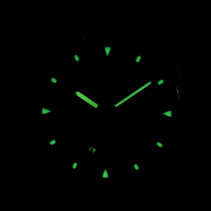 Seiko Titanium Quartz SLC043 SLC043P1 SLC043P Men's Watch