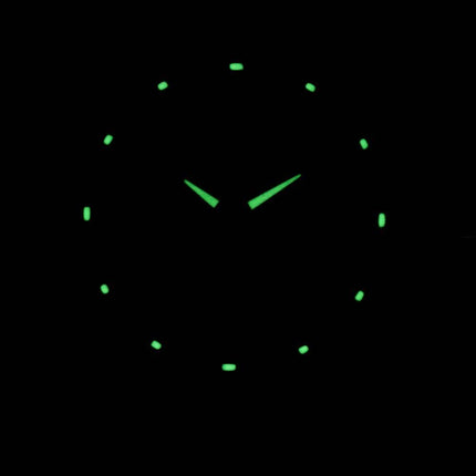 Seiko 5 Automatic 21 Jewels SNKN89 SNKN89K1 SNKN89K Men's Watch