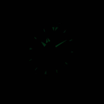 Seiko Sportura Kinetic GMT SUN017P1 SUN017P Mens Watch